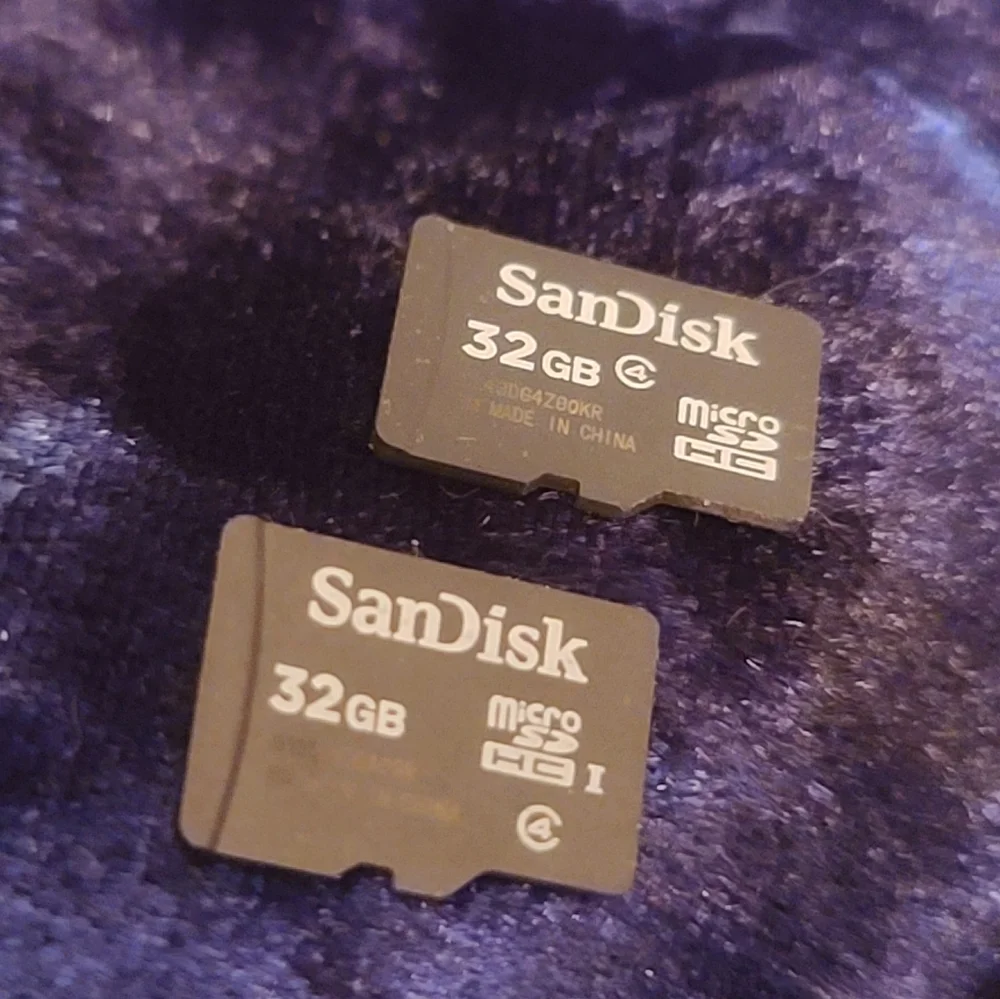 SanDisk 32GB Micro SD Cards